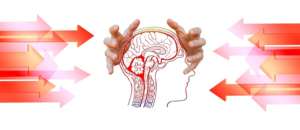 brain