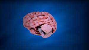 six daily habits that will boost your mental strength img