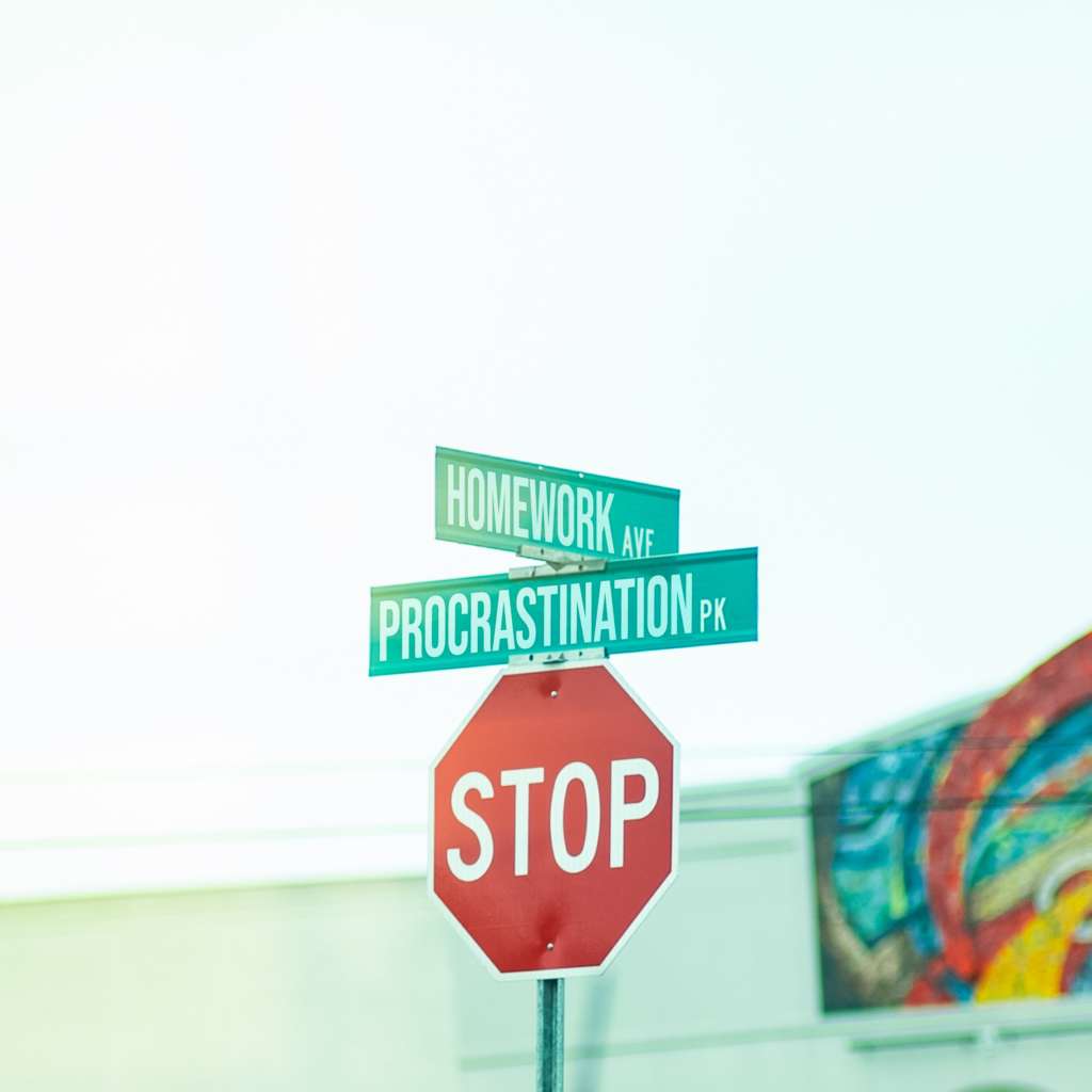 The Dangers of Procrastination 1 Procrastination